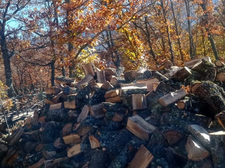 Leña de madera de encina - Ribatrans - Grupo Ordoñez